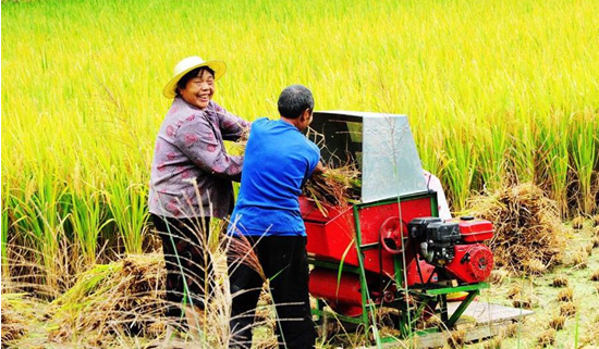 水稻收割机在使用的时候应该注意的是什么